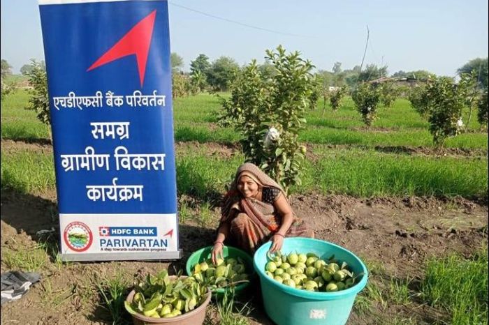 From Mono-Cropping to Multi-Tier Prosperity: How HRDP is Transforming Women-Led Farming in Sehore